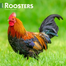 Roosters | 2024 12 x 24 Inch Monthly Square Wall Calendar