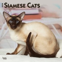 Siamese Cats | 2024 12 x 24 Inch Monthly Square Wall Calendar