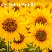 Sunflowers | 2024 12 x 24 Inch Monthly Square Wall Calendar