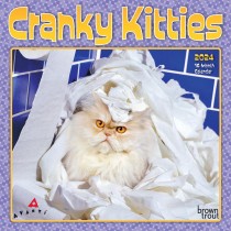 Avanti Cranky Kitties | 2024 7 x 14 Inch Monthly Mini Wall Calendar