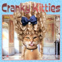Avanti Cranky Kitties | 2024 12 x 24 Inch Monthly Square Wall Calendar | Foil Stamped Cover