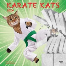 Karate Cats | 2024 12 x 24 Inch Monthly Square Wall Calendar