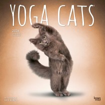 Yoga Cats OFFICIAL | 2024 12 x 24 Inch Monthly Square Wall Calendar