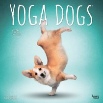Yoga Dogs OFFICIAL | 2024 12 x 24 Inch Monthly Square Wall Calendar