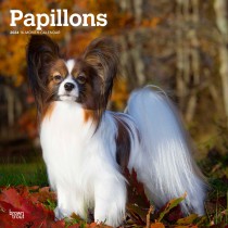 Papillons | 2024 12 x 24 Inch Monthly Square Wall Calendar