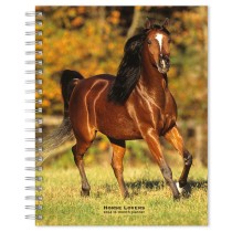 Horse Lovers | 2024 6 x 7.75 Inch Spiral-Bound Wire-O Weekly Engagement Planner Calendar | New Full-Color Image Every Week