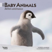 Baby Animals | Bebes Animaux | 2024 7 x 14 Inch Monthly Mini Wall Calendar | English/French Bilingual