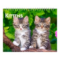 Kittens | 2024 7.5 x 6 Inch Monthly Double-View Easel Desk Calendar