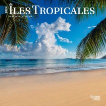 Îles Tropicales | 2024 7 x 14 Inch Monthly Mini Wall Calendar | French Language