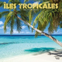 Îles Tropicales | 2024 12 x 24 Inch Monthly Square Wall Calendar | French Language