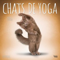 Chats de Yoga OFFICIEL | 2024 12 x 24 Inch Monthly Square Wall Calendar | French Language