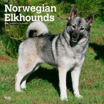 Norwegian Elkhounds | 2024 12 x 24 Inch Monthly Square Wall Calendar