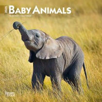 Baby Animals | 2025 7 x 14 Inch Monthly Mini Wall Calendar