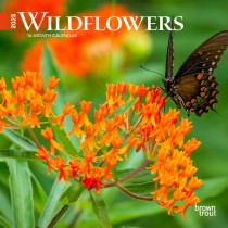 Wildflowers | 2025 7 x 14 Inch Monthly Mini Wall Calendar