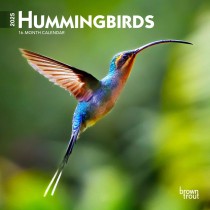 Hummingbirds | 2025 7 x 14 Inch Monthly Mini Wall Calendar
