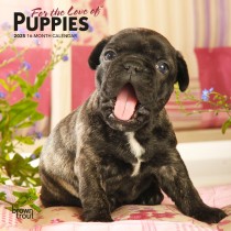 For the Love of Puppies | 2025 7 x 14 Inch Monthly Mini Wall Calendar
