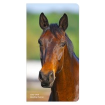 Horse Lovers | 2025-2026 3.5 x 6.5 Inch Two Year Monthly Pocket Planner