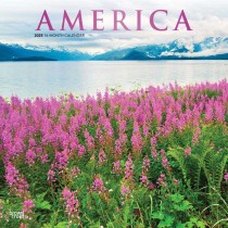 America | 2025 12 x 24 Inch Monthly Square Wall Calendar | Foil Stamped Cover | Plastic-Free