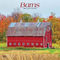 Barns | 2025 12 x 24 Inch Monthly Square Wall Calendar | Plastic-Free
