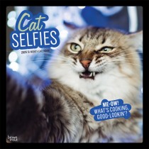 Cat Selfies | 2025 12 x 24 Inch Monthly Square Wall Calendar | Plastic-Free