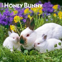 Honey Bunny | 2025 12 x 24 Inch Monthly Square Wall Calendar