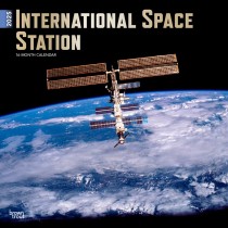 International Space Station | 2025 12 x 24 Inch Monthly Square Wall Calendar | Foil Stamped Cover