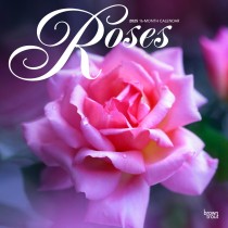 Roses | 2025 12 x 24 Inch Monthly Square Wall Calendar