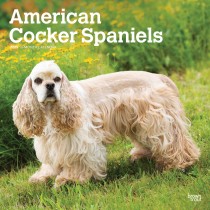 American Cocker Spaniels | 2025 12 x 24 Inch Monthly Square Wall Calendar | Plastic-Free