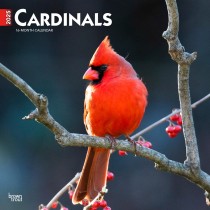 Cardinals | 2025 12 x 24 Inch Monthly Square Wall Calendar | Plastic-Free