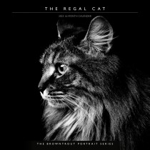 The BrownTrout Portrait Series: The Regal Cat | 2025 12 x 24 Inch Monthly Square Wall Calendar