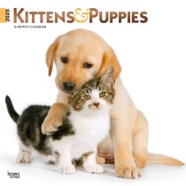 Kittens & Puppies | 2025 12 x 24 Inch Monthly Square Wall Calendar | Foil Stamped Cover