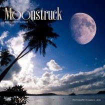Moonstruck | 2025 12 x 24 Inch Monthly Square Wall Calendar | Foil Stamped Cover
