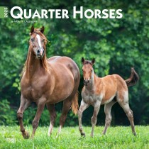 Quarter Horses | 2025 12 x 24 Inch Monthly Square Wall Calendar