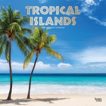 Tropical Islands | 2025 12 x 24 Inch Monthly Square Wall Calendar | Foil Stamped Cover