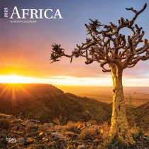 Africa | 2025 12 x 24 Inch Monthly Square Wall Calendar | Plastic-Free