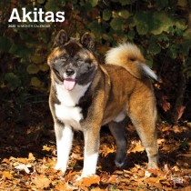 Akitas | 2025 12 x 24 Inch Monthly Square Wall Calendar | Plastic-Free