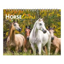 Horse Lovers | 2025 7.5 x 6 Inch Monthly Double-View Easel Desk Calendar