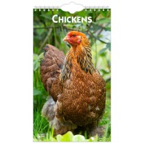 Chickens | 2025 5.7 X 16.5 Inch Monthly Slimline Wall Calendar