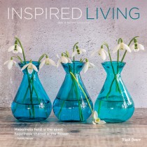 Inspired Living | 2025 12 x 24 Inch Monthly Square Wall Calendar | Plastic-Free