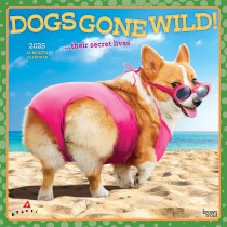 Avanti Dogs Gone Wild OFFICIAL | 2025 12 x 24 Inch Monthly Square Wall Calendar | Plastic-Free