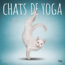 Chats de Yoga OFFICIEL | 2025 12 x 24 Inch Monthly Square Wall Calendar | French Language