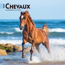Chevaux | 2025 7 x 14 Inch Monthly Mini Wall Calendar | French Language