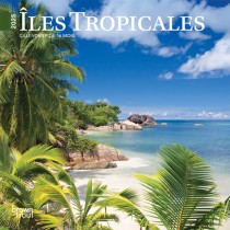 Îles Tropicales | 2025 7 x 14 Inch Monthly Mini Wall Calendar | French Language