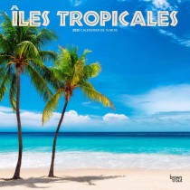 Îles Tropicales | 2025 12 x 24 Inch Monthly Square Wall Calendar | French Language