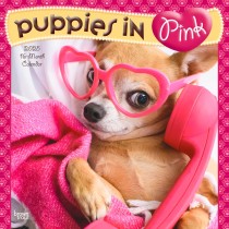 Puppies in Pink | 2025 12 x 24 Inch Monthly Square Wall Calendar