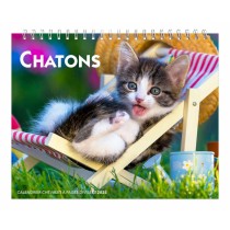 Chatons | 2025 7.5 x 6 Inch Monthly Double-View Easel Desk Calendar | French Language
