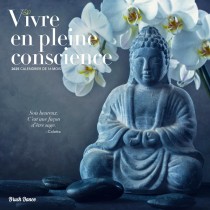 Vivre en Pleine Conscience | 2025 12 x 24 Inch Monthly Square Wall Calendar | French Language