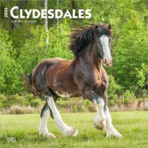 Clydesdales | 2026 12 x 24 Inch (Hanging) Monthly Square Wall Calendar