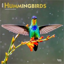 Hummingbirds | 2026 12 x 24 Inch (Hanging) Monthly Square Wall Calendar | Foil Stamped Cover