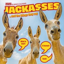 Jackasses | 2026 12 x 24 Inch (Hanging) Monthly Square Wall Calendar